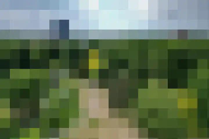 Rentmeesterlaan 18 Nijmegen thumbnail 26