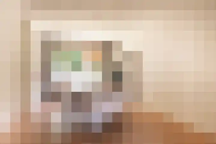 Rentmeesterlaan 18 Nijmegen thumbnail 9