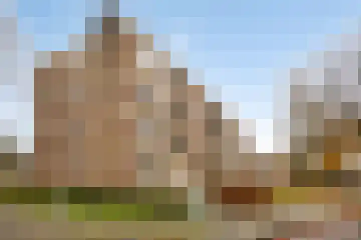 Rentmeesterlaan 4 Nijmegen thumbnail 38