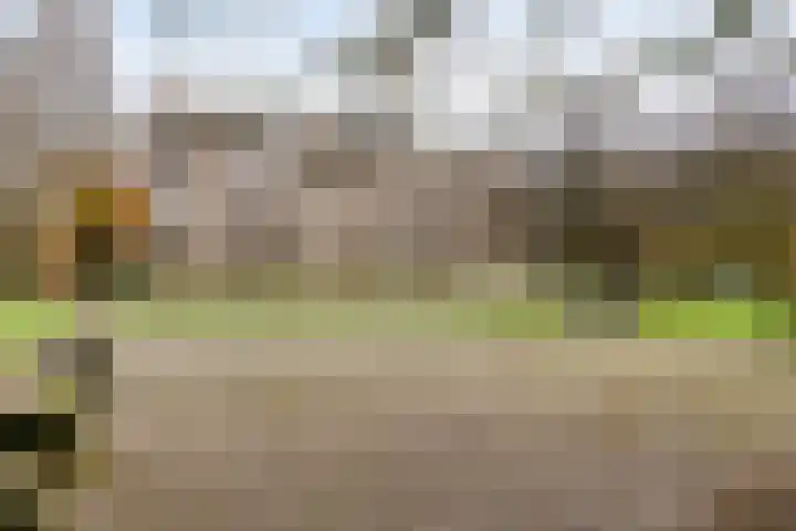 Rentmeesterlaan 4 Nijmegen thumbnail 41