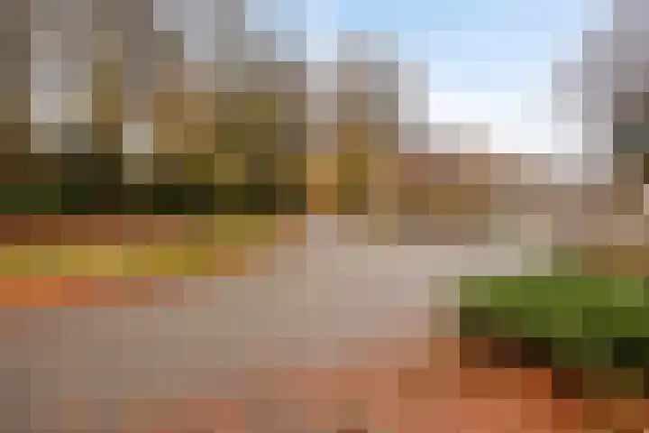 Rentmeesterlaan 4 Nijmegen thumbnail 42