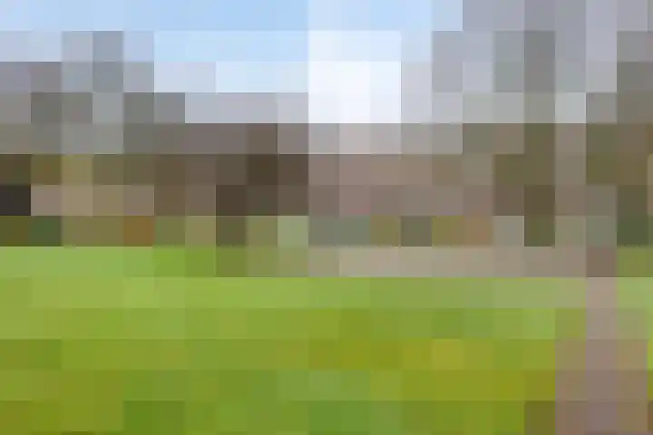 Rentmeesterlaan 4 Nijmegen thumbnail 44