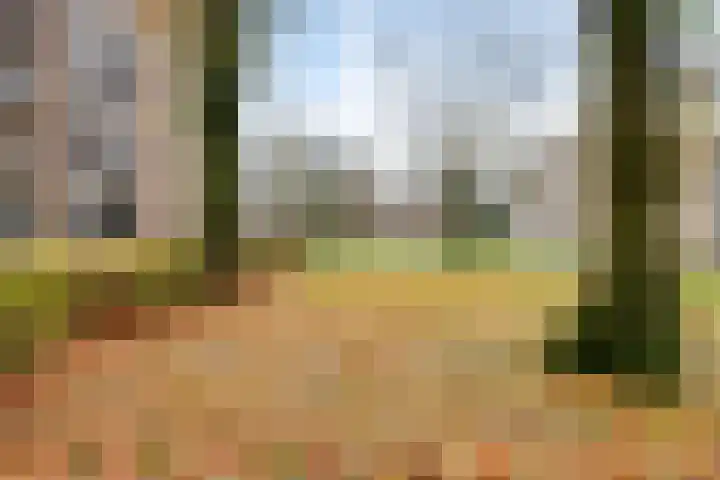 Rentmeesterlaan 4 Nijmegen thumbnail 45