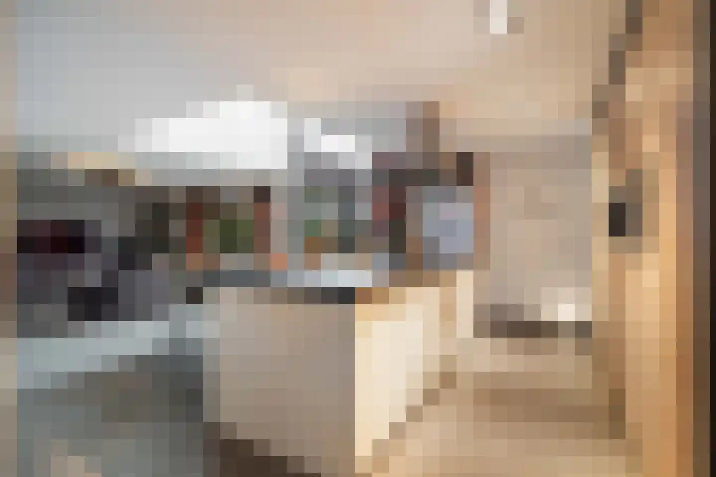 Rentmeesterlaan 7 Weert thumbnail 12