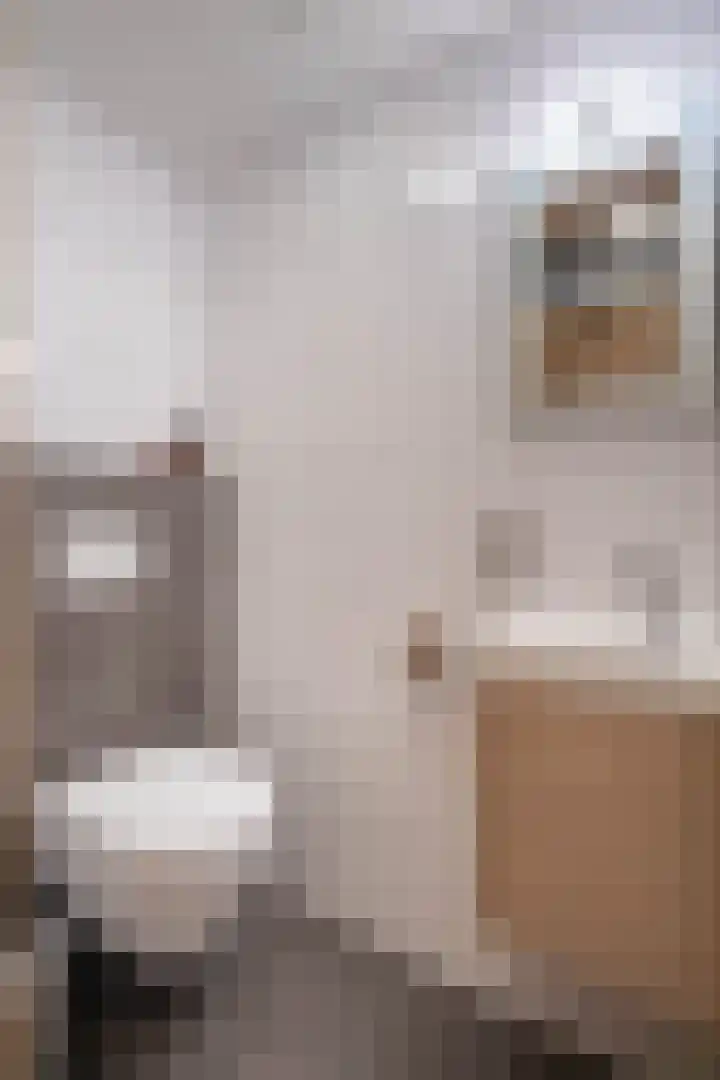 Rentmeesterlaan 7 Weert thumbnail 25