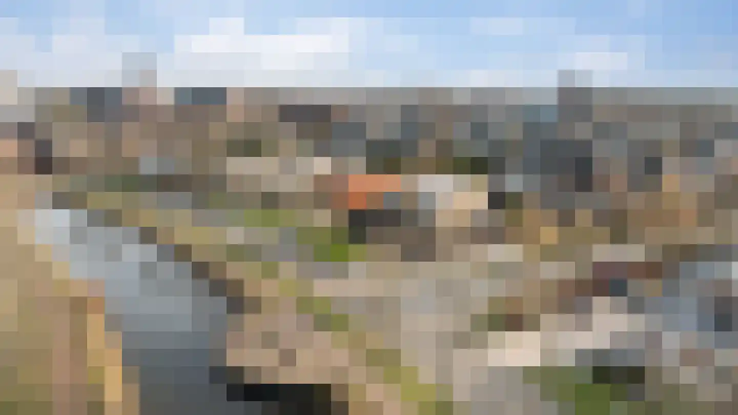Rentmeesterlaan 7 Weert thumbnail 7