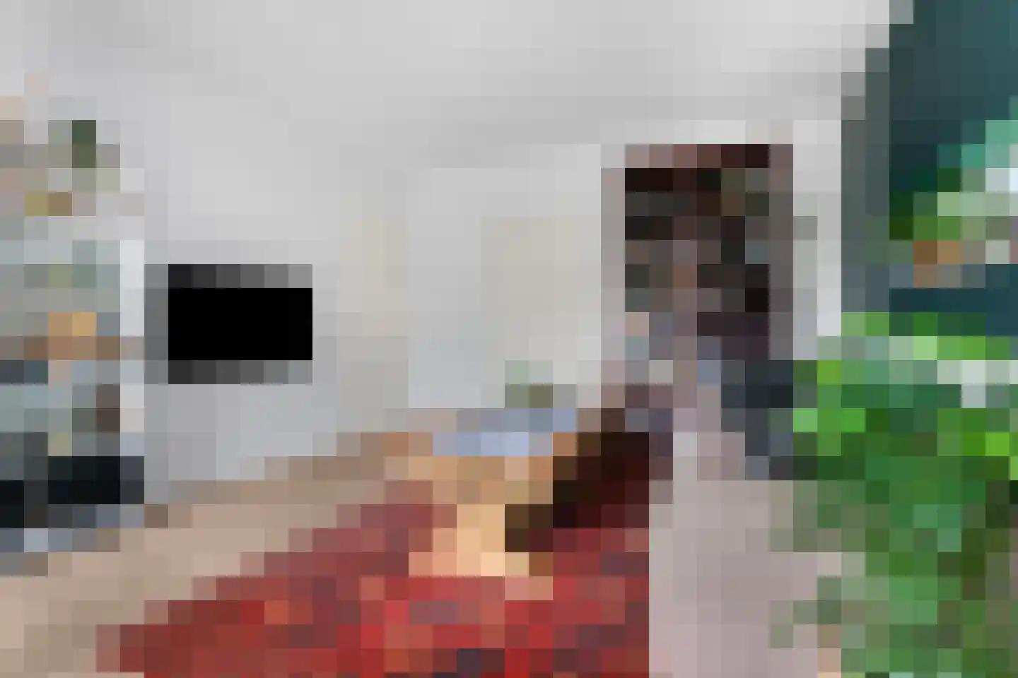 Rentmeesterlaan 8 Nijmegen thumbnail 12