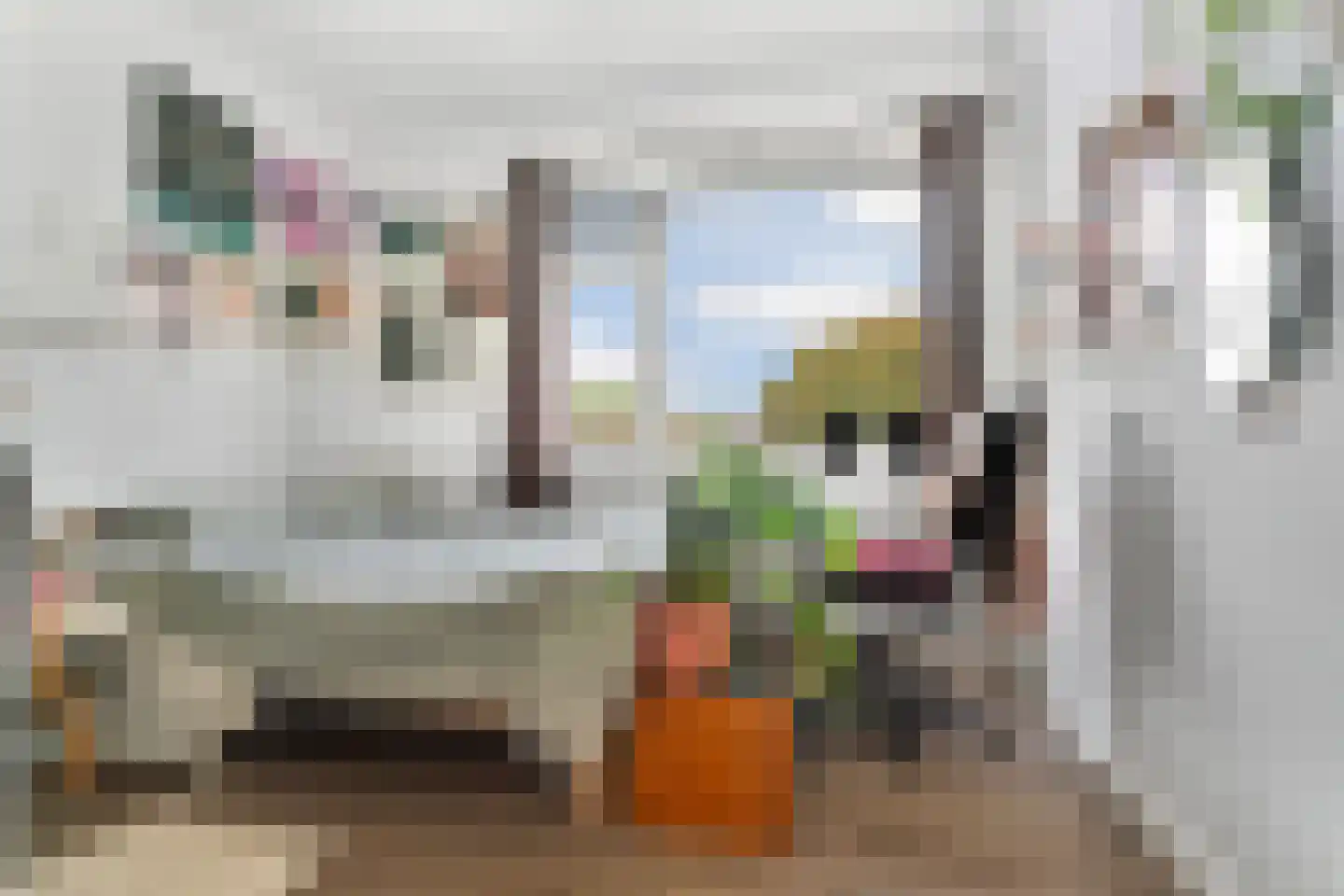 Rentmeesterlaan 8 Nijmegen thumbnail 20