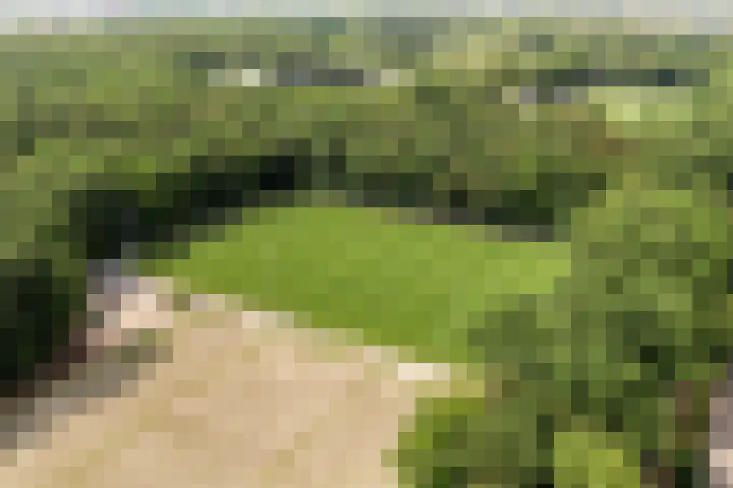 Rentmeesterlaan 8 Nijmegen thumbnail 32