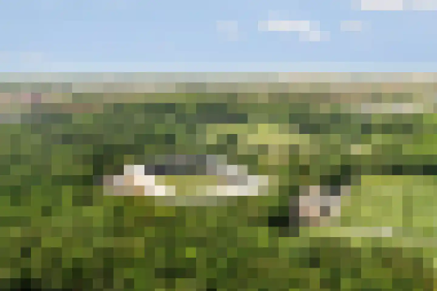 Rentmeesterlaan 8 Nijmegen thumbnail 33