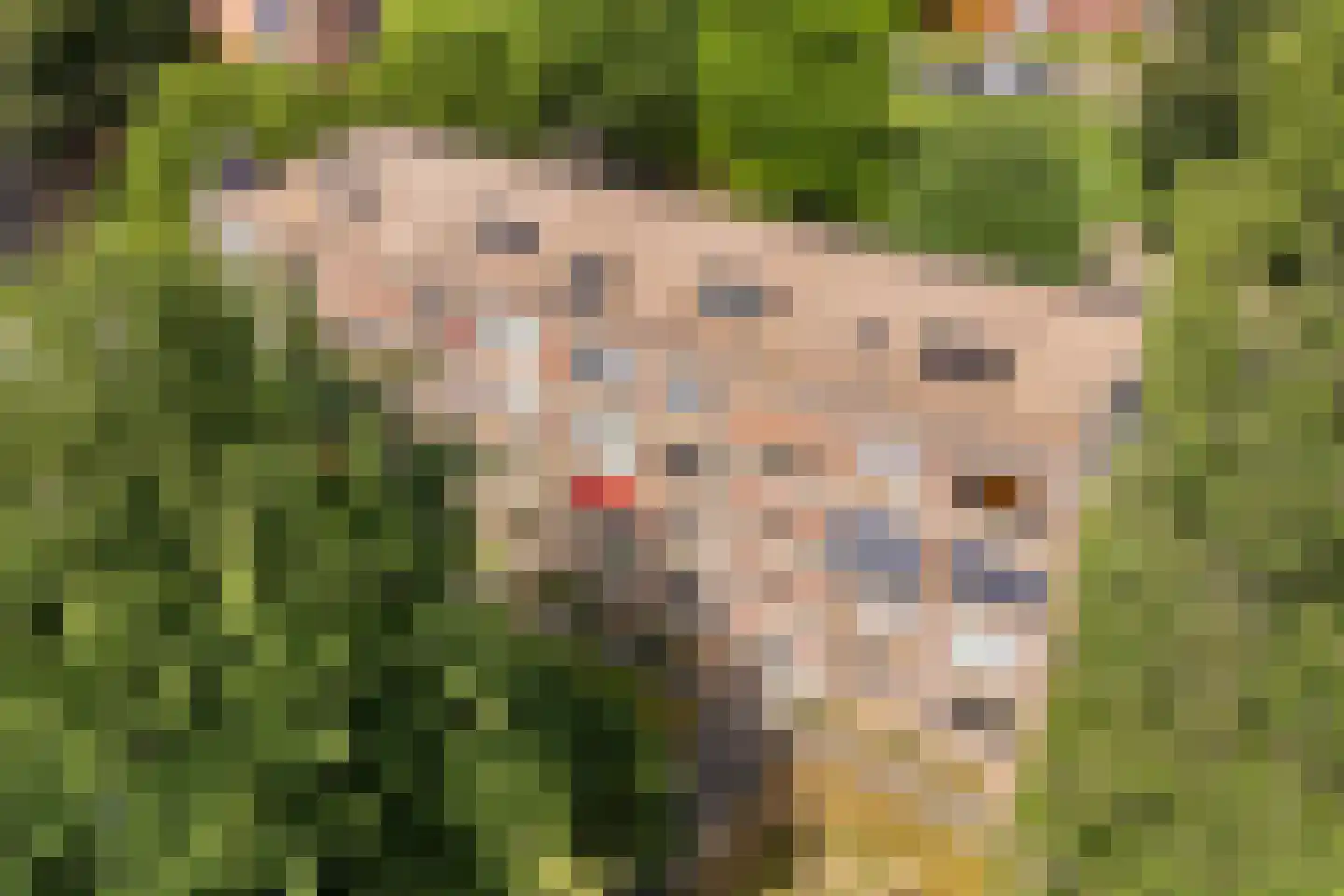 Rentmeesterlaan 8 Nijmegen thumbnail 35