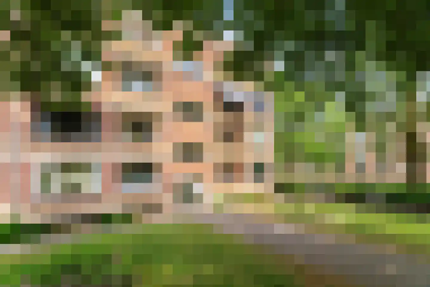 Rentmeesterlaan 8 Nijmegen thumbnail 37