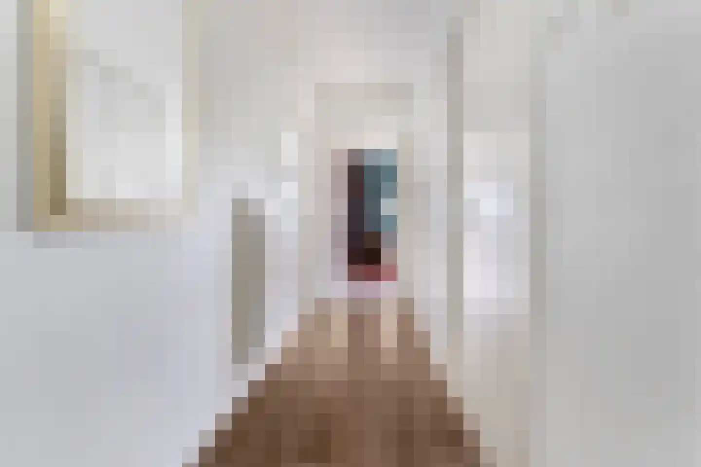 Rentmeesterlaan 8 Nijmegen thumbnail 6