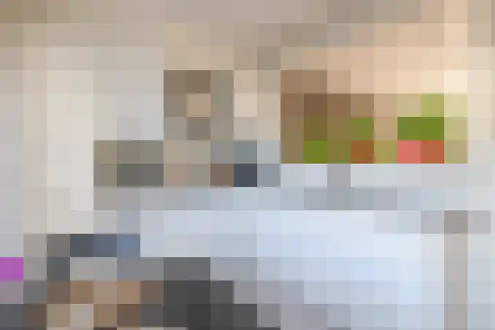 Rentmeestershoef 612 Uden thumbnail 10