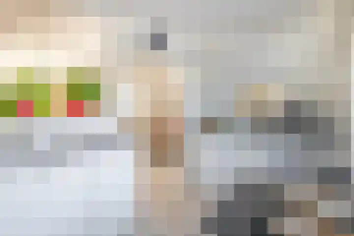 Rentmeestershoef 612 Uden thumbnail 11