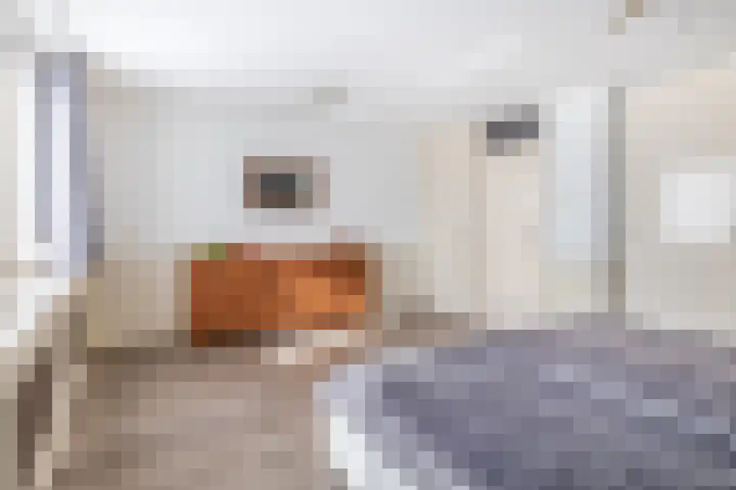 Rentmeestershoef 612 Uden thumbnail 14