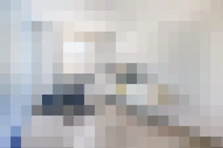 Rentmeestershoef 612 Uden thumbnail 15