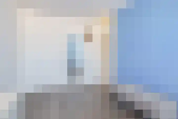 Rentmeestershoef 612 Uden thumbnail 16