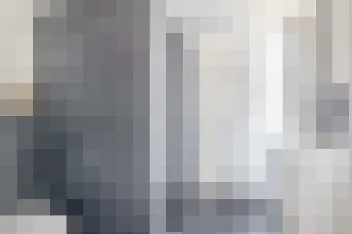 Rentmeestershoef 612 Uden thumbnail 17