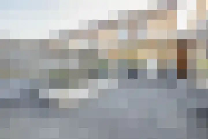 Rentmeestershoef 612 Uden thumbnail 22