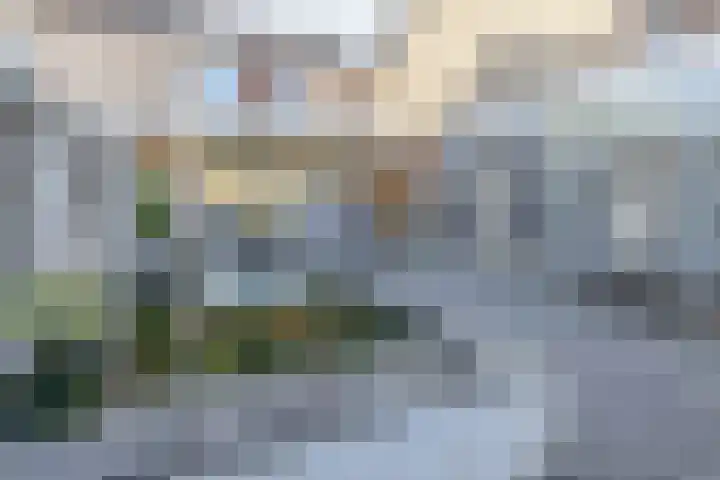 Rentmeestershoef 612 Uden thumbnail 23