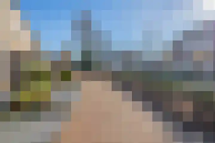 Rentmeestershoef 612 Uden thumbnail 31