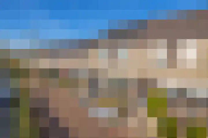 Rentmeestershoef 612 Uden thumbnail 33