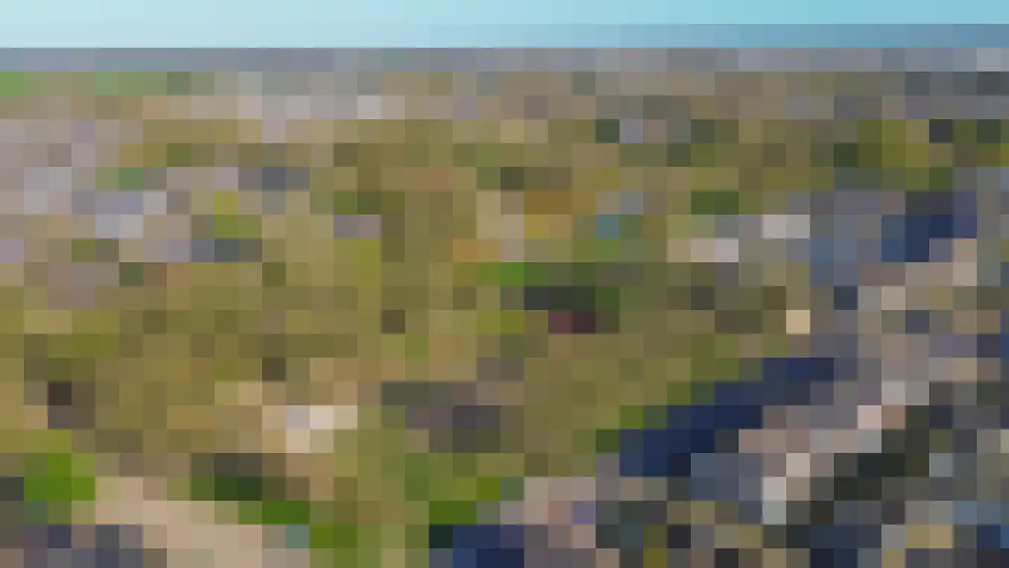 Rentmeestershoef 612 Uden thumbnail 34