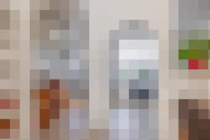 Rentmeestershoef 612 Uden thumbnail 8