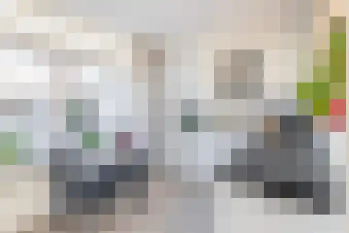 Rentmeestershoef 612 Uden thumbnail 9