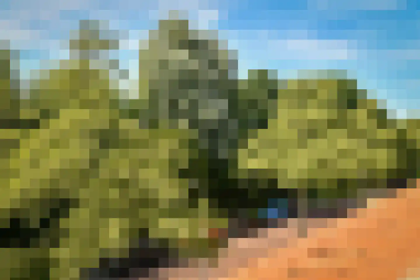 Rentmeesterslaan 61 Amstelveen thumbnail 35