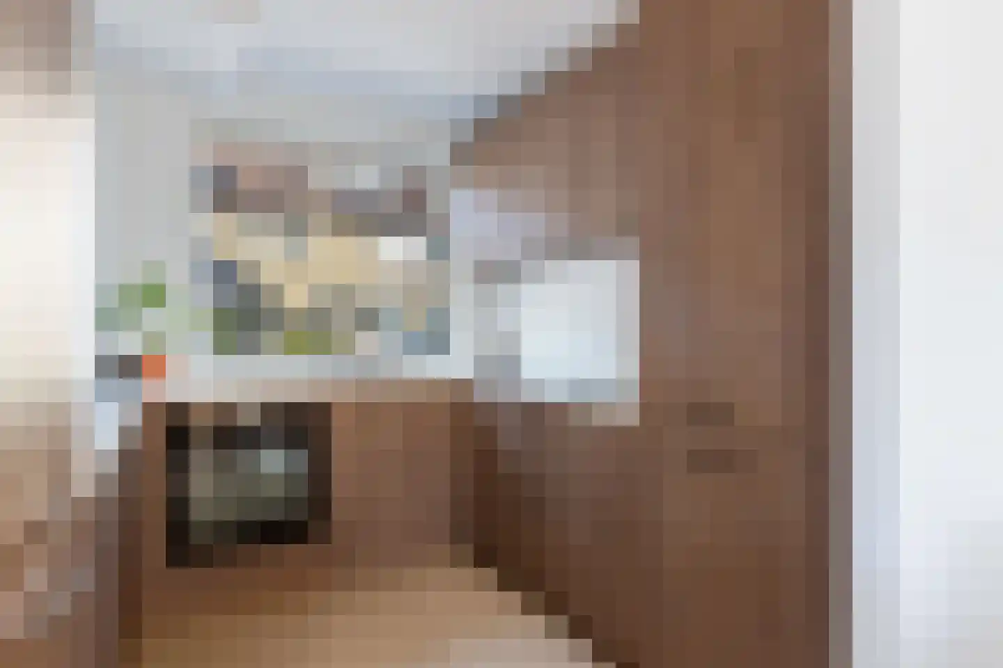 Rentmeesterslag 82 Gouda thumbnail 18