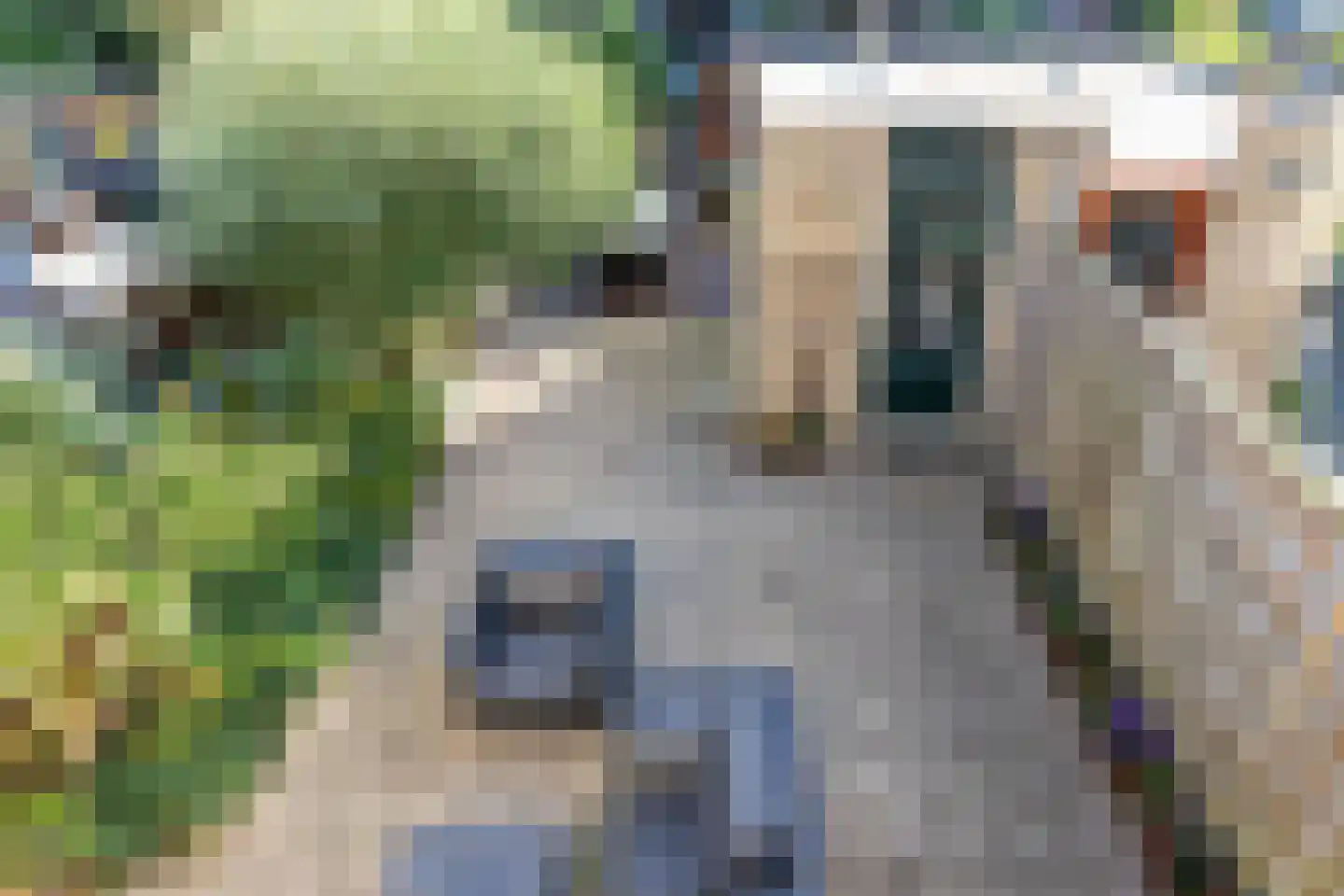 Rentmeesterslag 82 Gouda thumbnail 42
