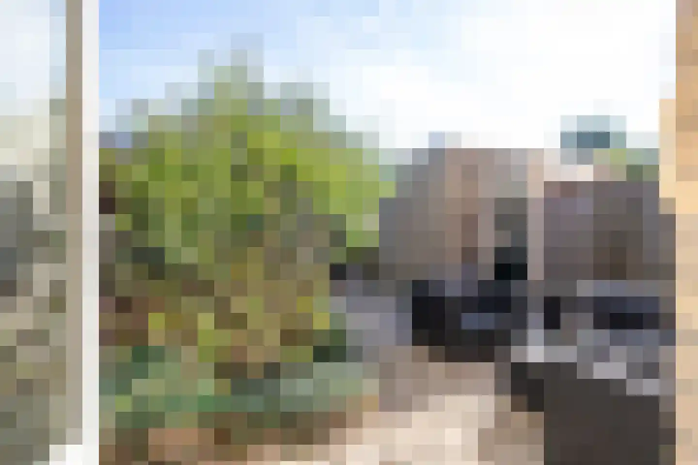 Rentmeesterslag 82 Gouda thumbnail 43