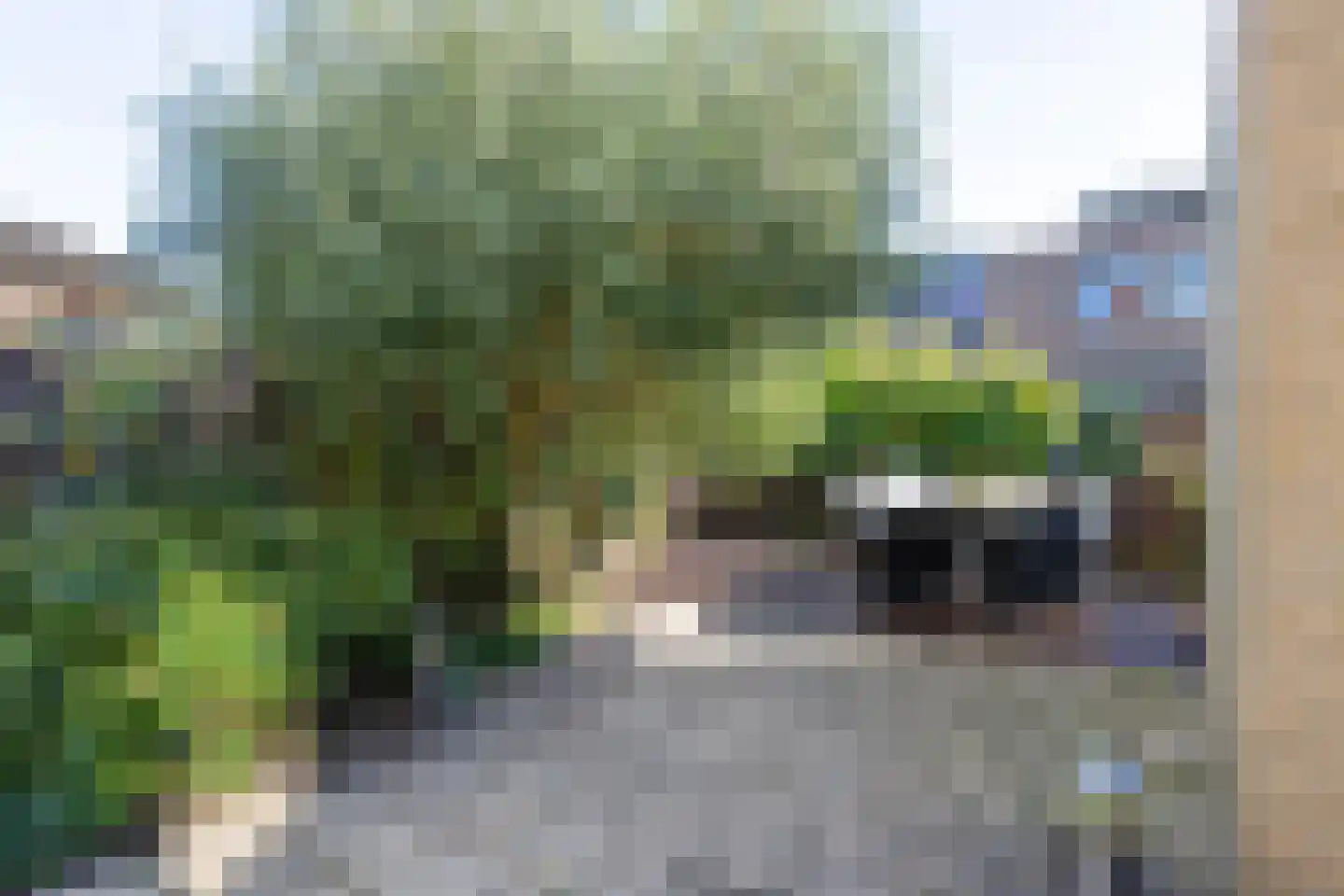 Rentmeesterslag 82 Gouda thumbnail 45