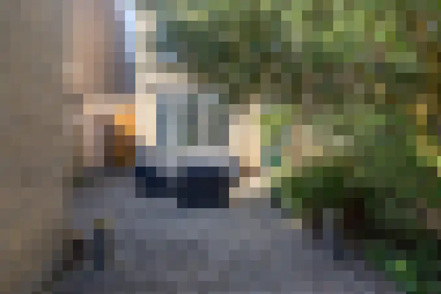 Rentmeesterslag 82 Gouda thumbnail 47