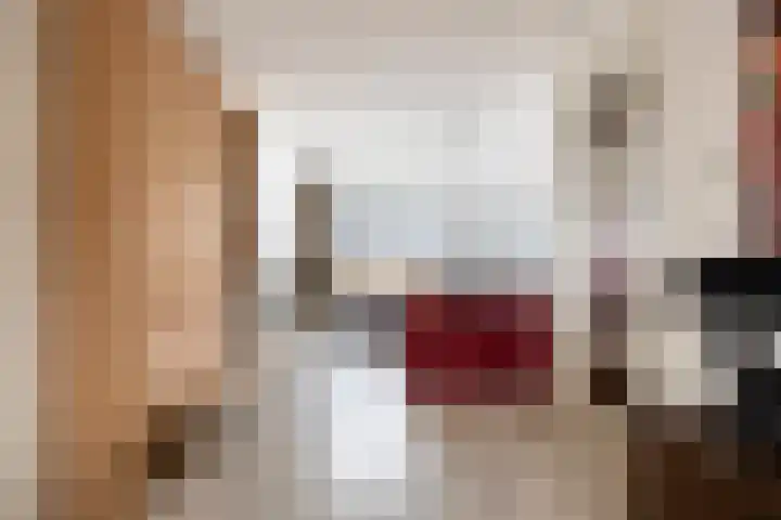 Rentmeestersstraat 37 Gemert thumbnail 16