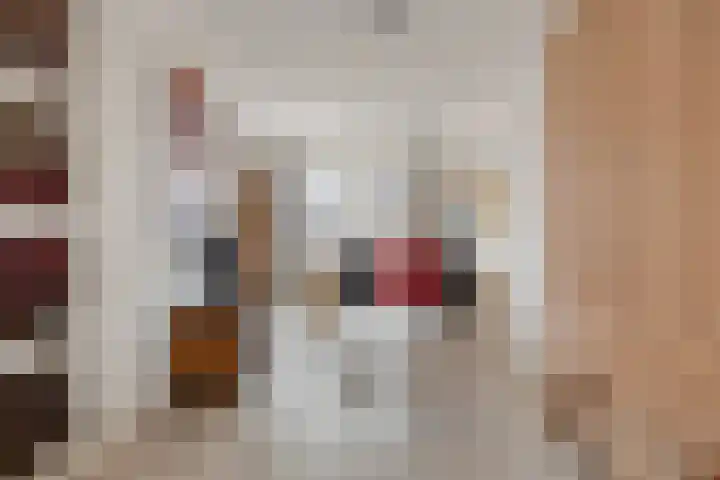 Rentmeestersstraat 37 Gemert thumbnail 18