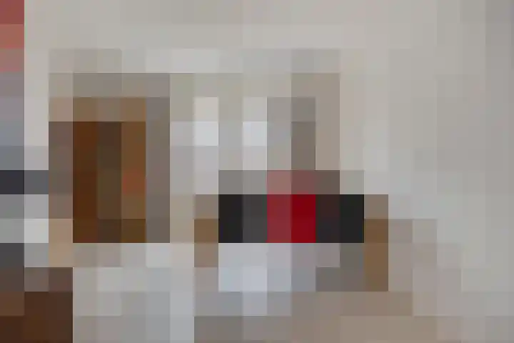 Rentmeestersstraat 37 Gemert thumbnail 22