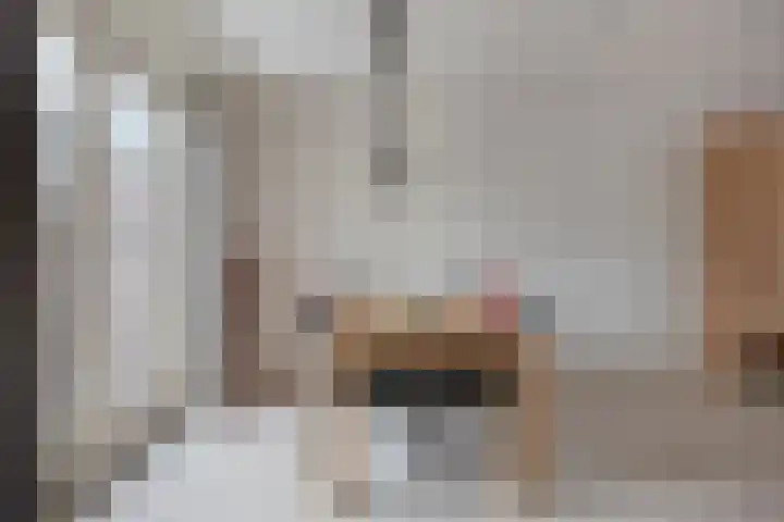 Rentmeestersstraat 37 Gemert thumbnail 23