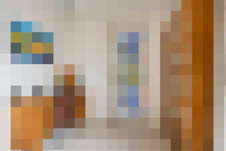 Rentmeestersstraat 37 Gemert thumbnail 24