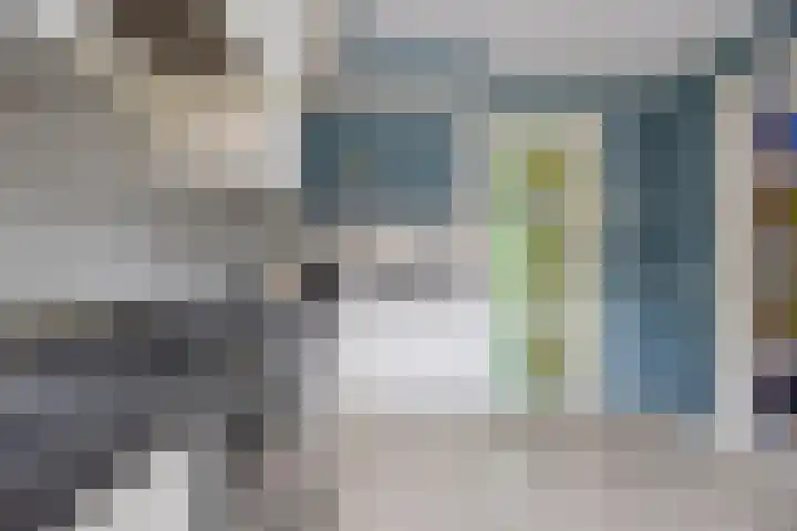 Rentmeestersstraat 37 Gemert thumbnail 29