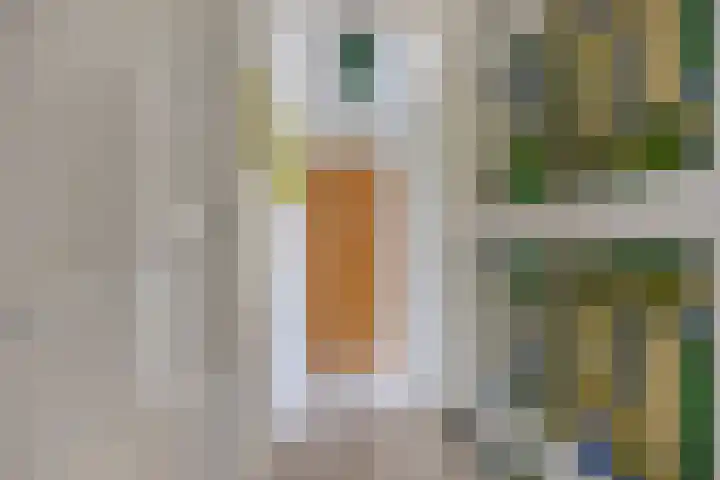 Rentmeestersstraat 37 Gemert thumbnail 32