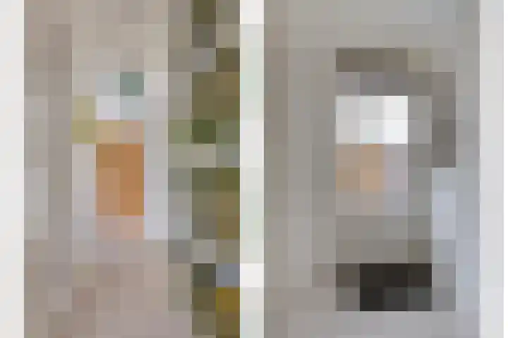 Rentmeestersstraat 37 Gemert thumbnail 33