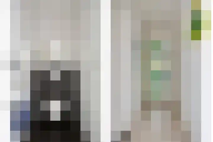 Rentmeestersstraat 37 Gemert thumbnail 34