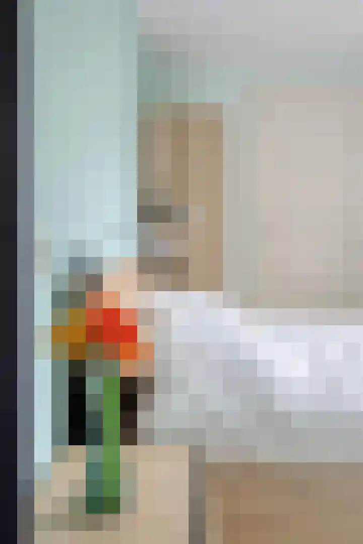 Rentmeestersstraat 37 Gemert thumbnail 39