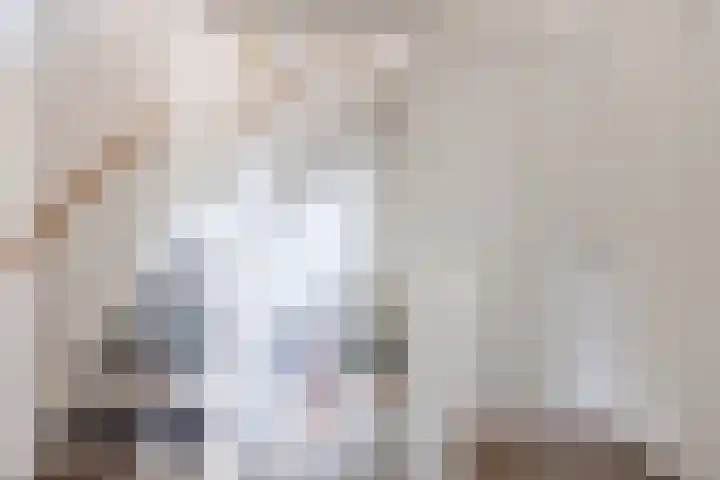 Rentmeestersstraat 37 Gemert thumbnail 43