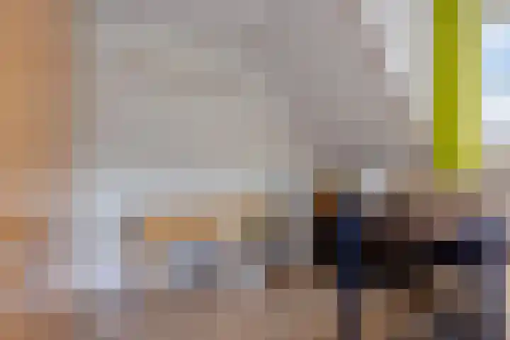 Rentmeestersstraat 37 Gemert thumbnail 46