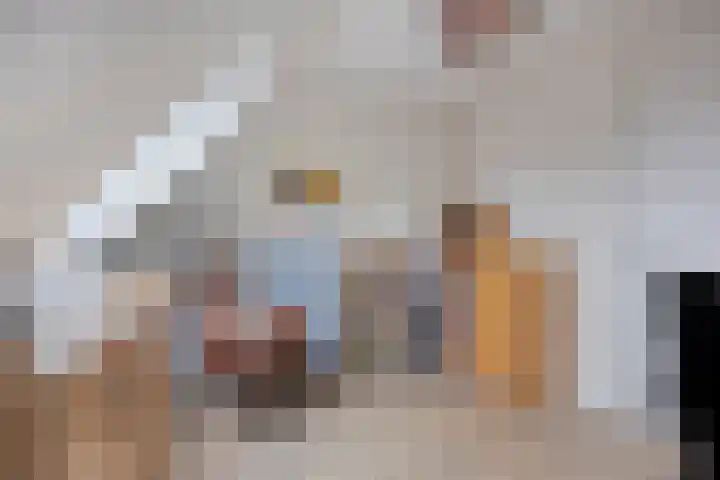 Rentmeestersstraat 37 Gemert thumbnail 48