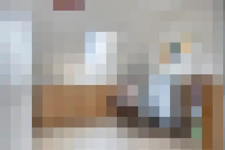 Rentmeestersstraat 37 Gemert thumbnail 49